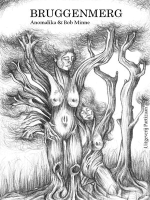 cover image of Bruggenmerg